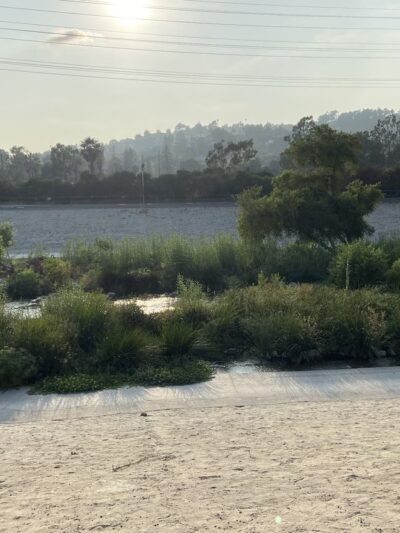 Bond Park - Los Angeles, CA