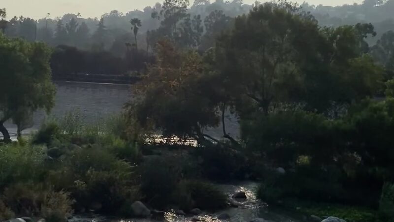 Bond Park - Los Angeles, CA