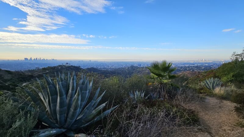 Captain's Roost - Los Angeles, CA