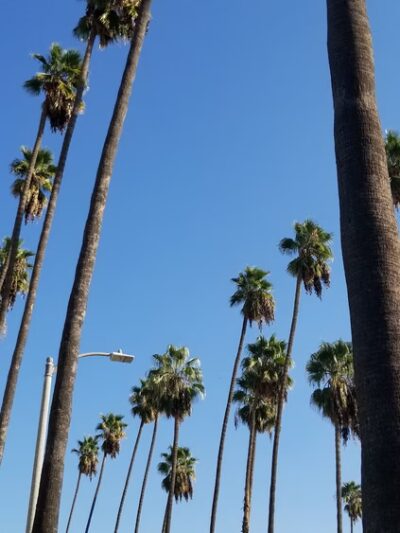 Carlton Way Park - Los Angeles, CA