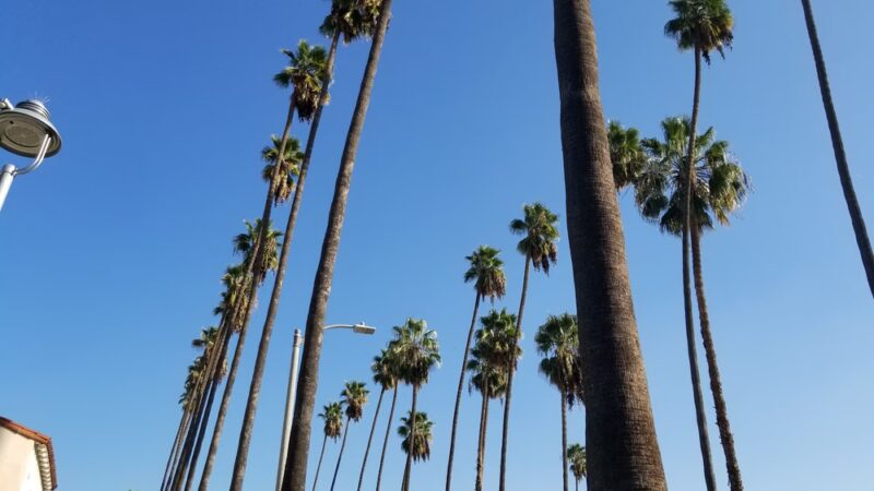 Carlton Way Park - Los Angeles, CA