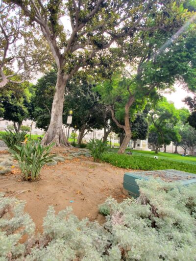 Circle Park - Los Angeles, CA