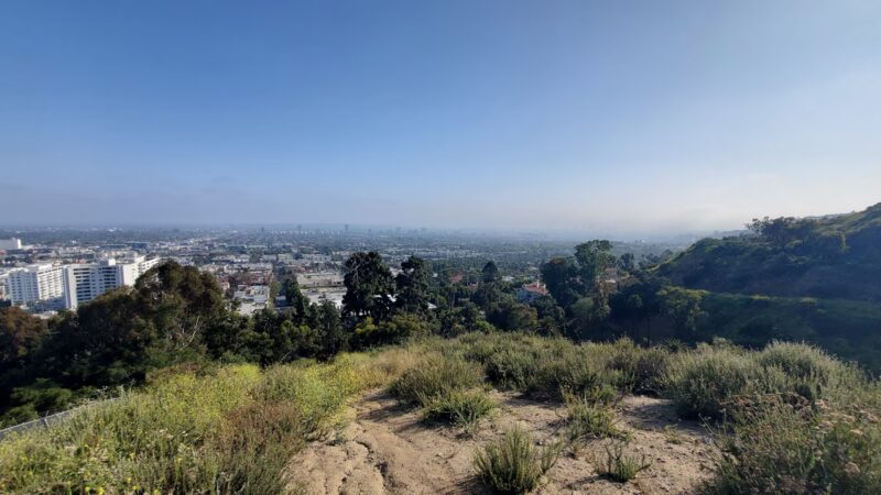 Downtown Los Angeles Viewpoint - Los Angeles, CA