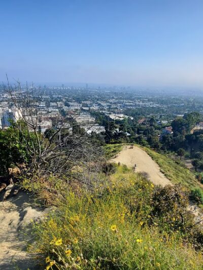 Downtown Los Angeles Viewpoint - Los Angeles, CA