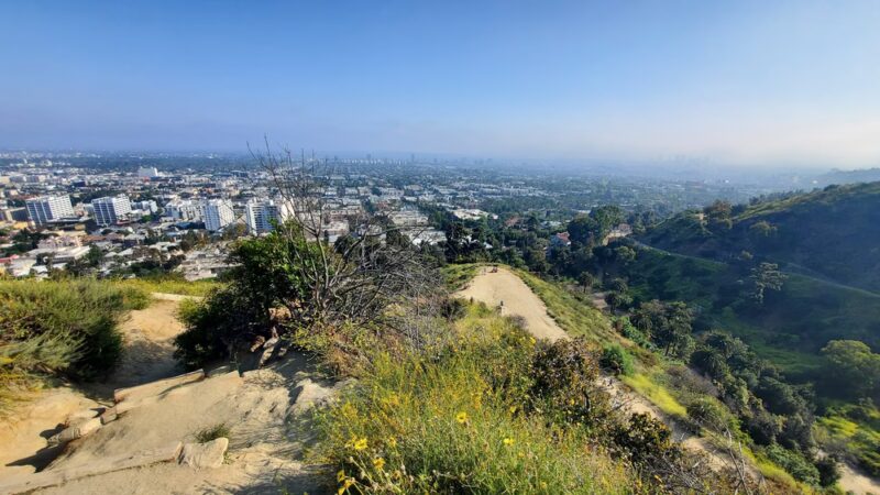 Downtown Los Angeles Viewpoint - Los Angeles, CA