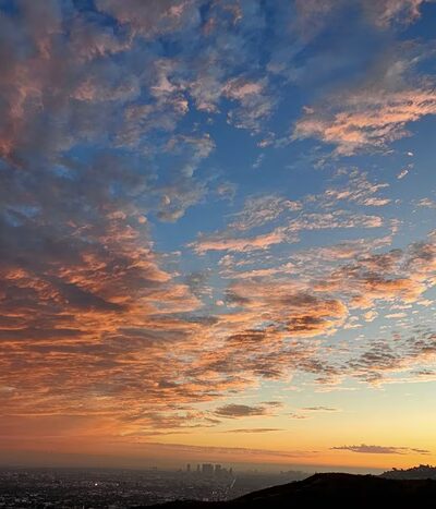 Downtown Los Angeles Viewpoint - Los Angeles, CA