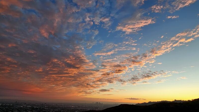 Downtown Los Angeles Viewpoint - Los Angeles, CA