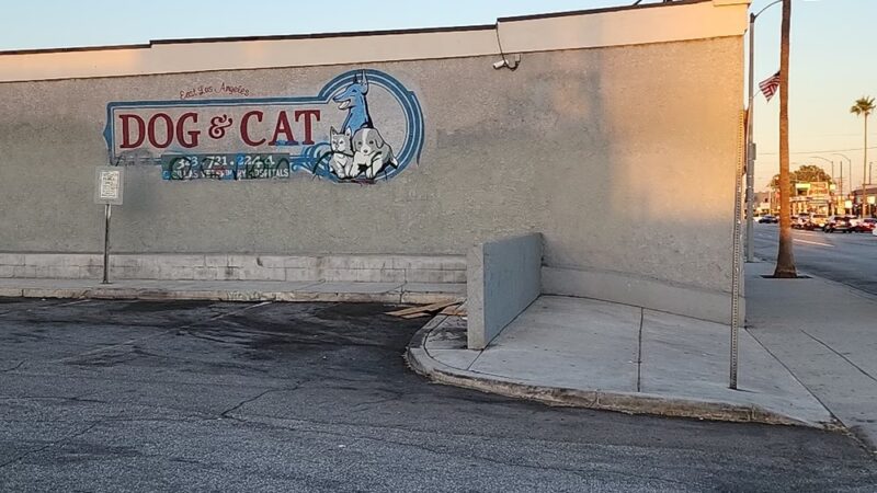 East Los Angeles Dog and Cat Hospital - Los Angeles, CA