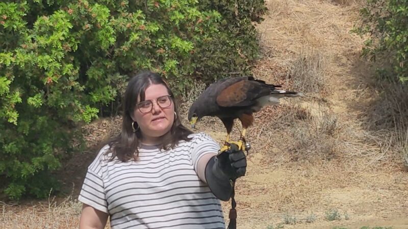 Ernest E. Debs Regional Park - Los Angeles, CA
