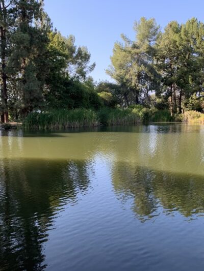 Ernest E. Debs Regional Park - Los Angeles, CA