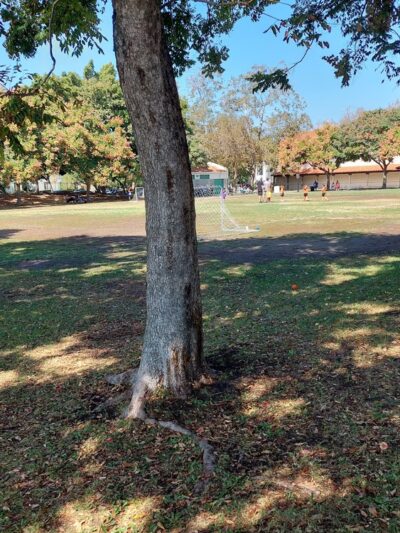 Frank Fenton Field at La Cienega Park - Los Angeles, CA