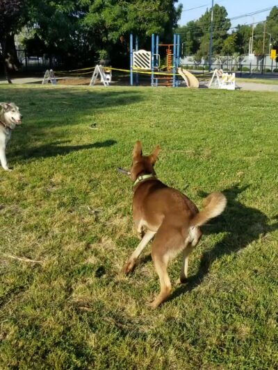 Genesee Avenue Park - Los Angeles, CA