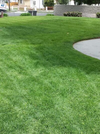 Glenhurst Park - Los Angeles, CA