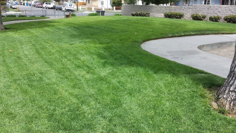 Glenhurst Park - Los Angeles, CA