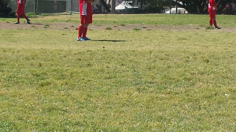 Guardia Park - Los Angeles, CA