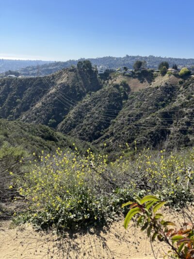 Harper Monkey Trail - Los Angeles, CA