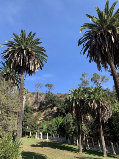 Harper Monkey Trail - Los Angeles, CA