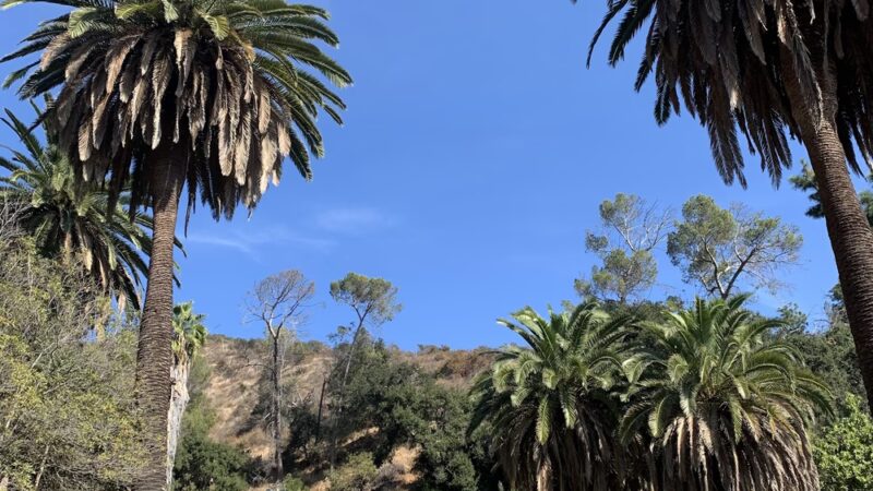 Harper Monkey Trail - Los Angeles, CA