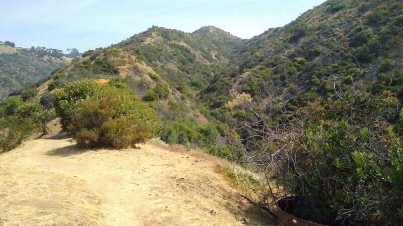 Harper Monkey Trail - Los Angeles, CA