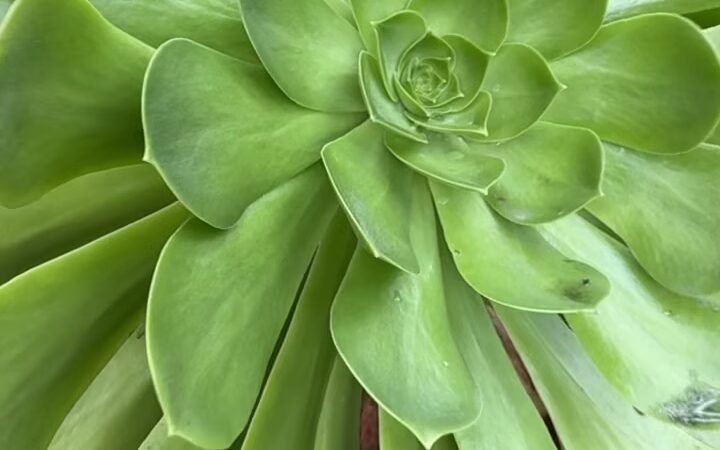 Hollywoodland Stairs - Los Angeles, CA