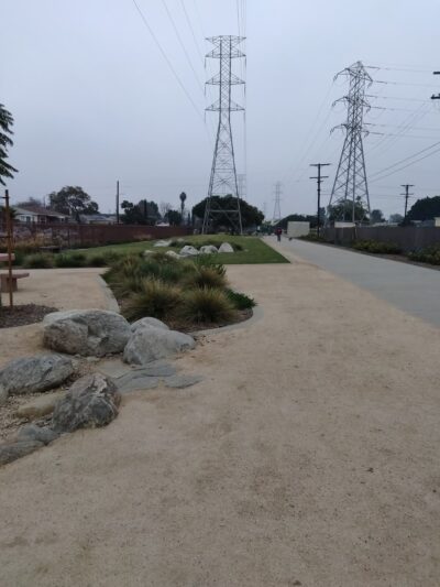 Jacaranda Park - Los Angeles, CA