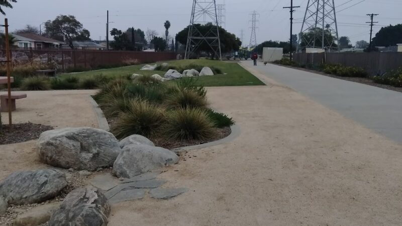 Jacaranda Park - Los Angeles, CA