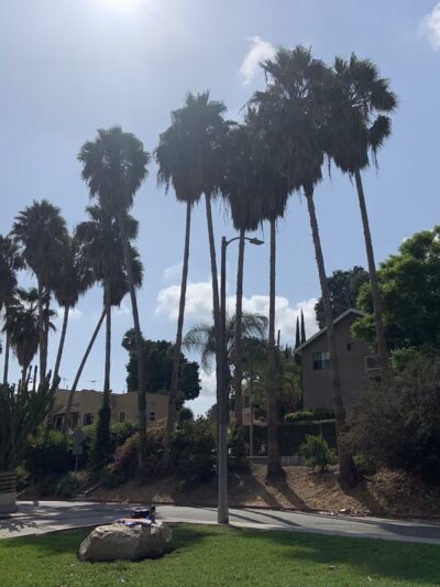 Laurel and Hardy Park - Los Angeles, CA