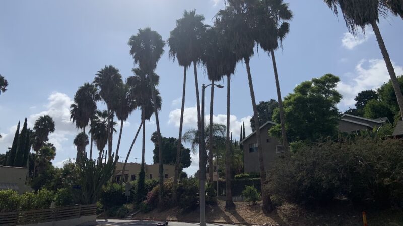 Laurel and Hardy Park - Los Angeles, CA