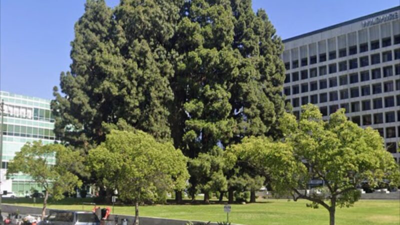 Liberty Park - Los Angeles, CA