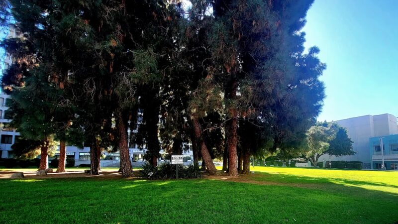 Liberty Park - Los Angeles, CA