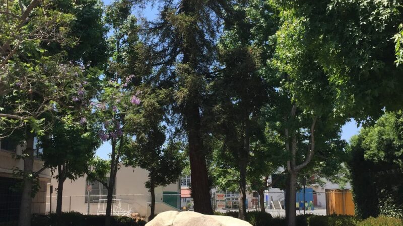 Lower Carthay Circle Park - Los Angeles, CA