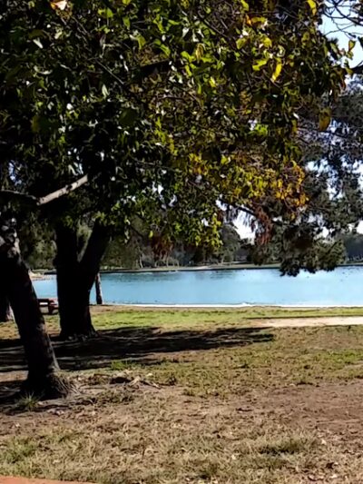 Magic Johnson Park - Los Angeles, CA