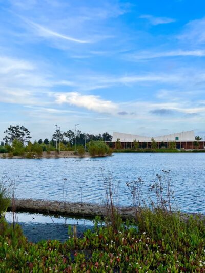 Magic Johnson Park - Los Angeles, CA