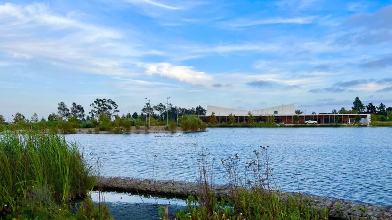 Magic Johnson Park - Los Angeles, CA