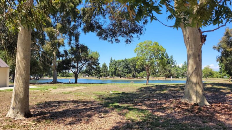 Magic Johnson Park - Los Angeles, CA
