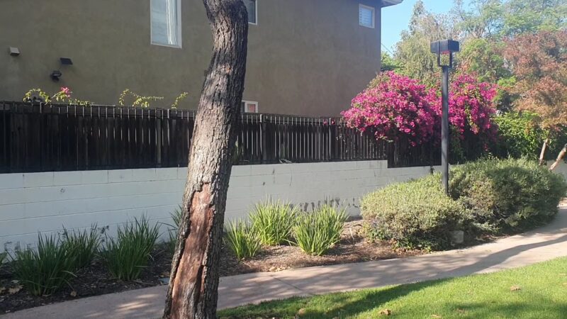 Mansfield Ave Park - Los Angeles, CA