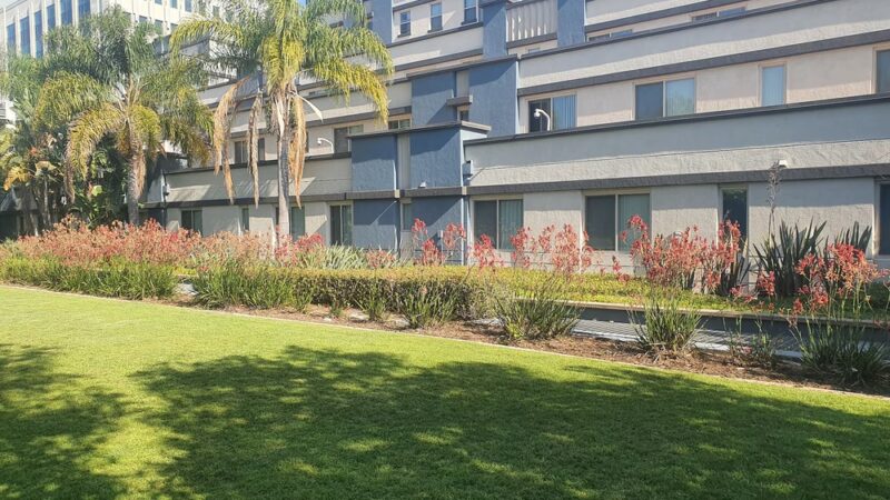 Mansfield Ave Park - Los Angeles, CA