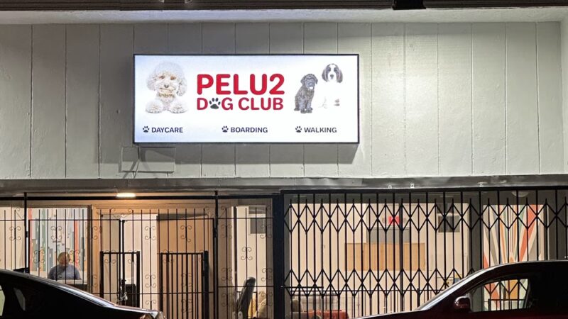 Pelu2 Dog Club - Los Angeles, CA