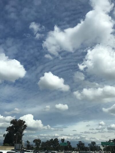 Reynier Park - Los Angeles, CA