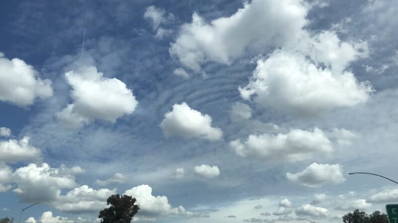 Reynier Park - Los Angeles, CA