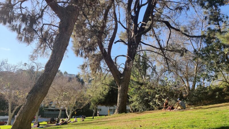 Silver Lake Grass Patch - Los Angeles, CA
