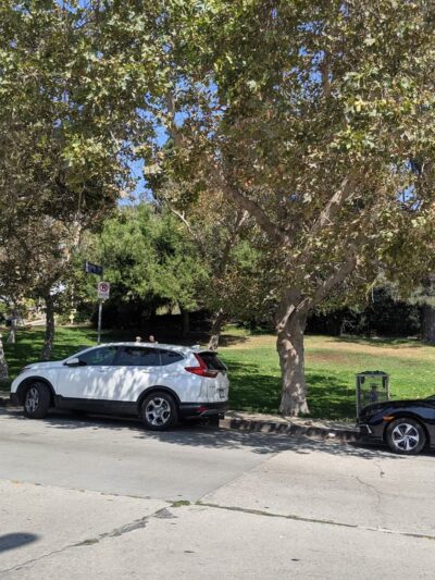 Silver Lake Grass Patch - Los Angeles, CA