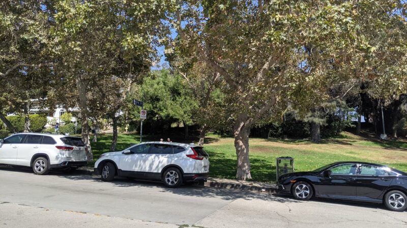 Silver Lake Grass Patch - Los Angeles, CA