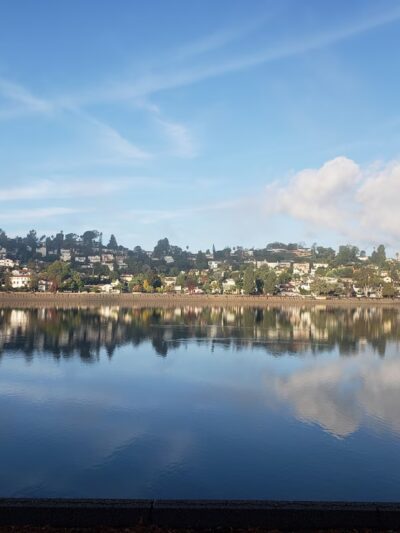 Silver Lake Grass Patch - Los Angeles, CA
