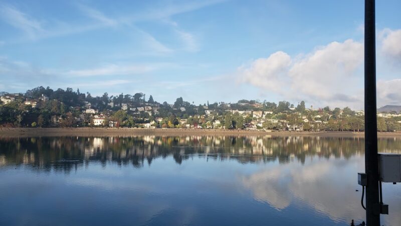 Silver Lake Grass Patch - Los Angeles, CA