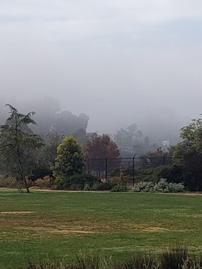 Silver Lake Grass Patch - Los Angeles, CA