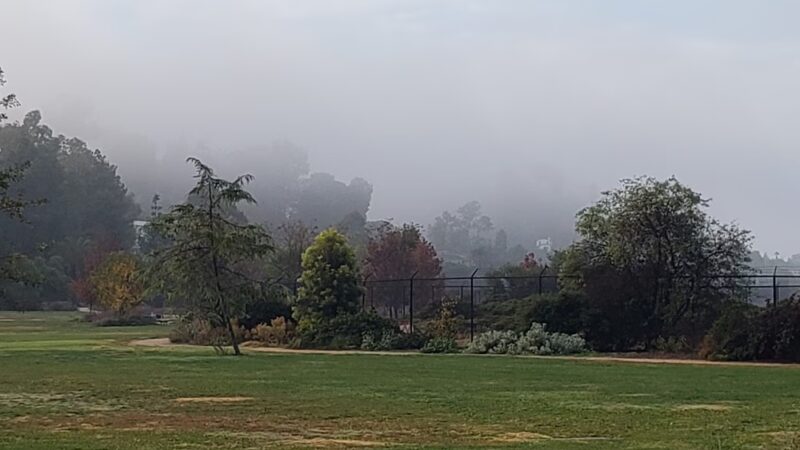 Silver Lake Grass Patch - Los Angeles, CA