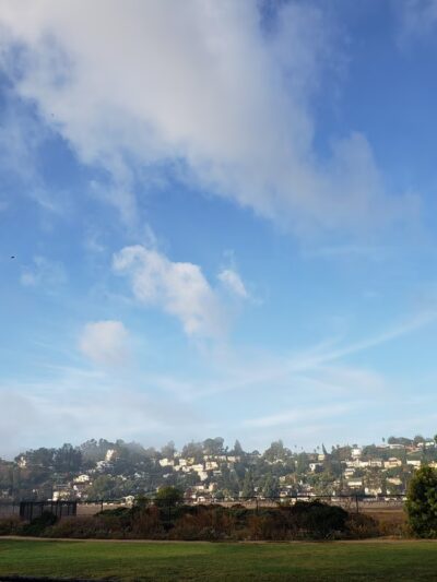 Silver Lake Grass Patch - Los Angeles, CA