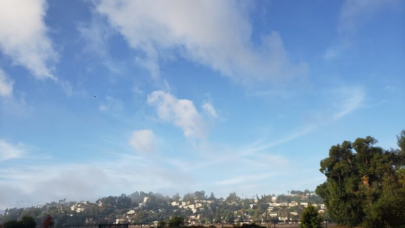 Silver Lake Grass Patch - Los Angeles, CA