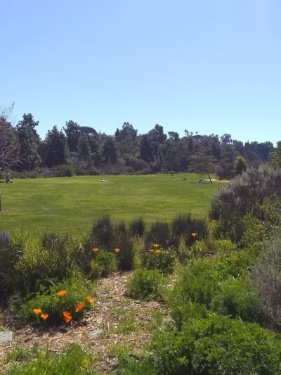 Silver Lake Meadows - Los Angeles, CA